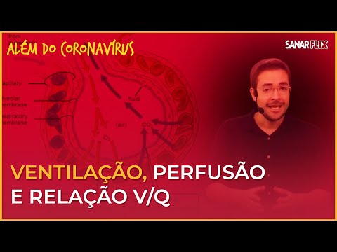 Vídeo: Diferença Entre Perfusão E Difusão