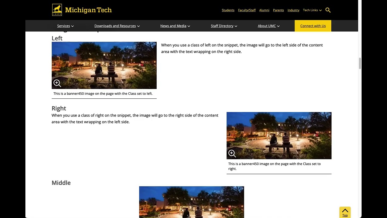 Preview image for Image with Caption Snippet video