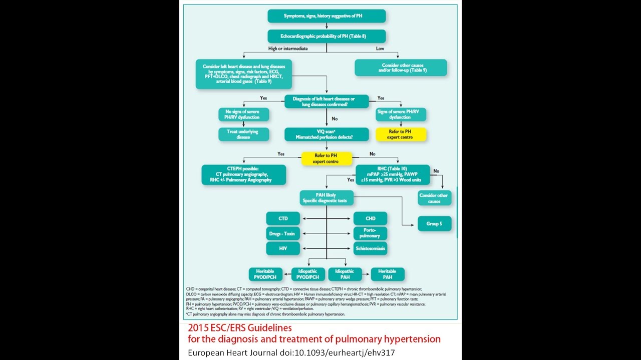 Pulmonary hypertension (part 2), Dr. Mohammad Rashad