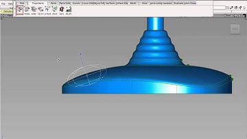 Global and Local Orientation