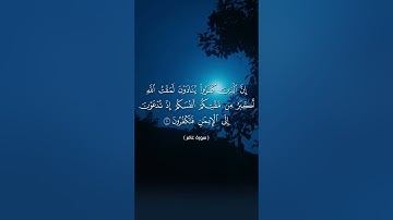 سورة غافر / الآيات 1-20