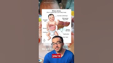Why Jaundiced Infants at 2-4 Weeks Need Urgent Evaluation