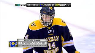Edina vs. Wayzata Boys Section Hockey Final