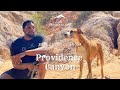 An Unremarkable Road Trip | Ep  6 | Providence Canyon