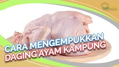 Tips Lebaran: Cara Mengempukkan Daging Ayam Kampung Buat Opor Lebaran, Segampang Ini! - Durasi: 1.49. 