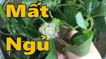 Mách bạn cách chữa mất ngủ hiệu quả bằng cây lạc tiên được nhiều người áp dụng [Sức khỏe]