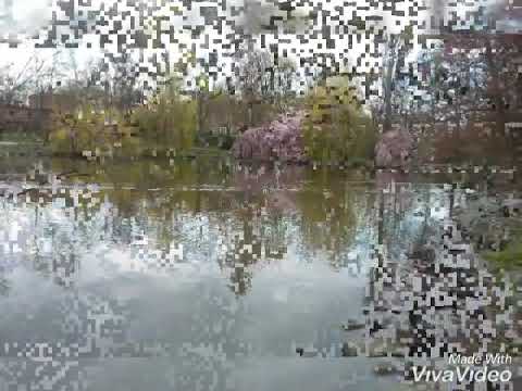 ჩემი უსაყვარლესი ადგილი