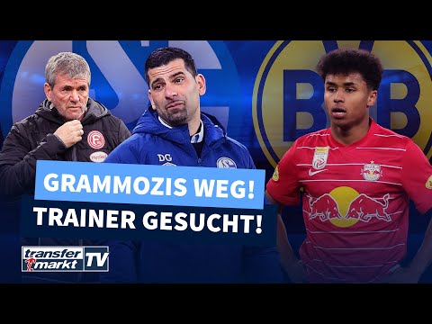 Grammozis weg! Trainersuche auf Schalke – Adeyemi-Transfer zum BVB wackelt | TRANSFERMARKT