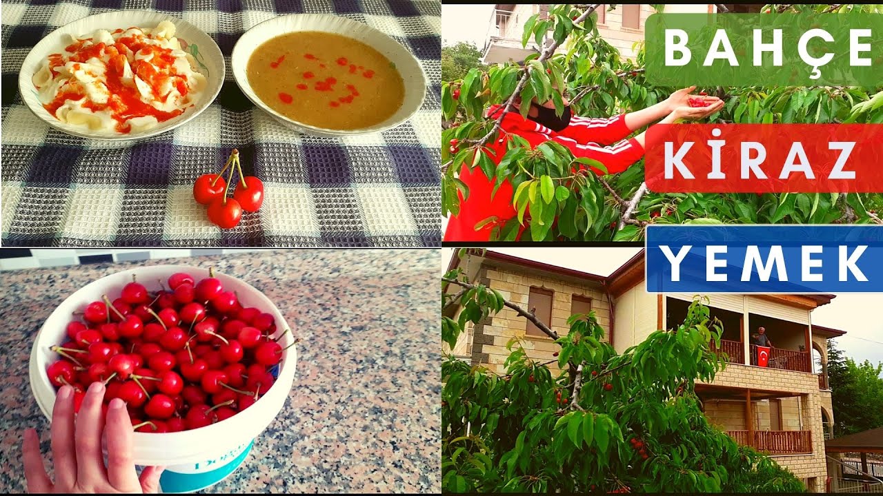 KİRAZ TOPLADIK, MAHLUTA ÇORBASI YAPIMI YANINA KOLAY YOĞURTLU MAKARNA (yemek tarifleri, günlük vlog )