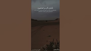 سورة المنافقون