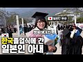 한국 졸업식에 처음 가본 일본인아내가 행복하다는 이유?! Feat. 한일 졸업문화 차이