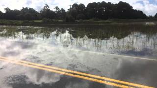 Charleston SC King Tide, September 2015