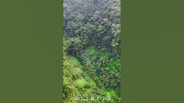 تلاوة خاشعة تريح القلب آيات من سورة يس للقارئ أنس محمد #تلاوة_خاشعة#تلاوة_هادئة #القرآن_الكريم