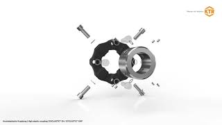 EVOLASTIC® EH/EHP highly flexible coupling | KTR Systems