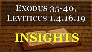 Exodus 35-40, Leviticus 1, 4, 16, 19 Insights Profile