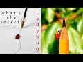 Ladybug Follows Line