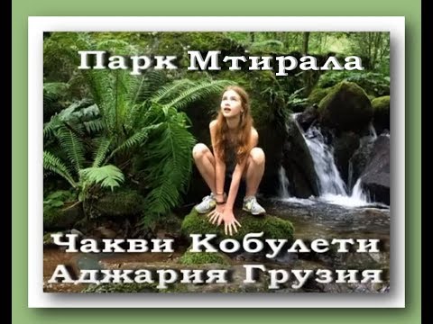 Парк Мтирала Mtirala National Park Чакви Кобулети ქობულეთი Аджария Грузия