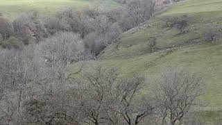 Way To Muker Part 3, Swaledel