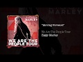Moving Forward – Ziggy Marley live | We Are The People Tour, 2017