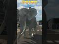 support Nahin Karoge🥺😭#elephant #like 🙏🏻