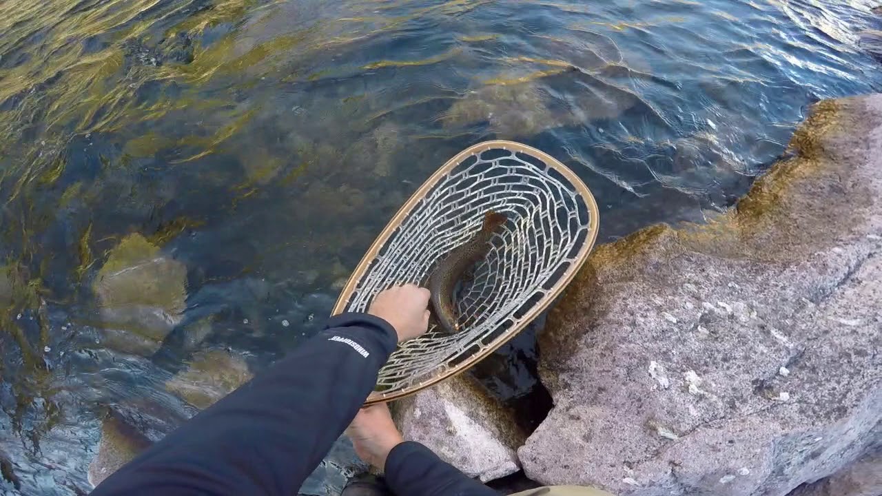 Fly Fishing Green River, Dutch John, UT YouTube