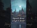 Hogwarts Is Always A Beautiful Sight To See! | Hogwarts Legacy / Harry Potter #harrypotter
