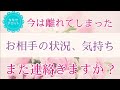 【タロット】🕊 離れてしまったあの人、また連絡してくる?
