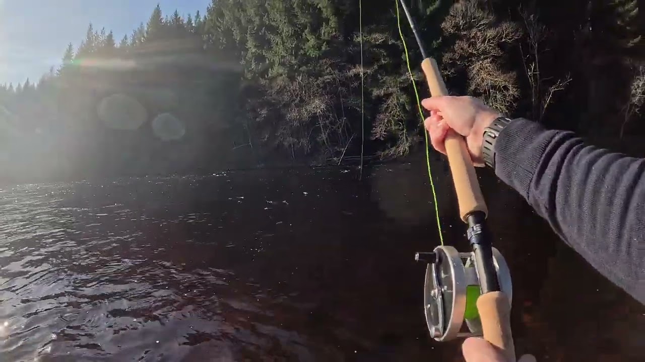 Salmon Fishing Lower Tummel Feb 2026 