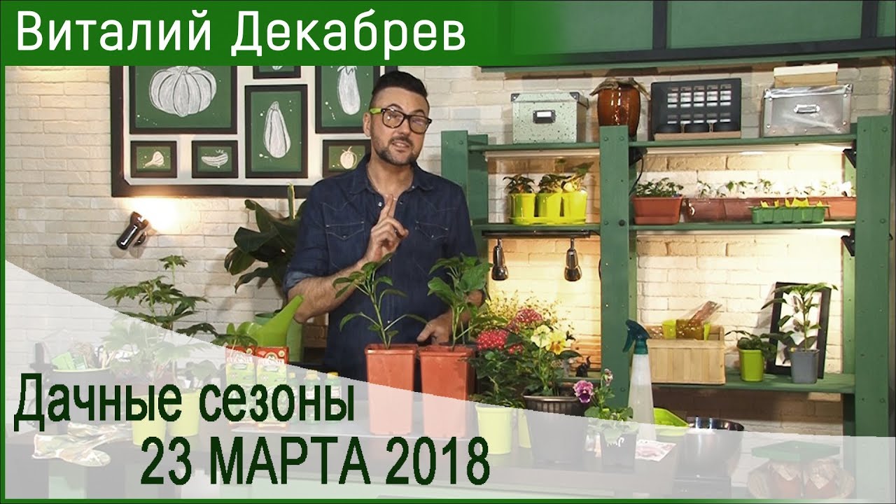 Дачные сезоны с Виталием Декабревым(23 марта2018)