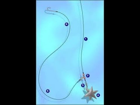 [Pêche en mer] Montage trainard pour le surfcasting