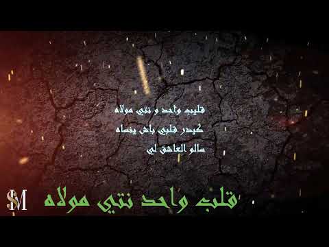 قلب واحد نتي مولاه