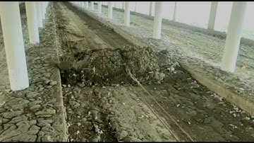 Poultry Manure Scraper System l Advanced Poultry Machinery l