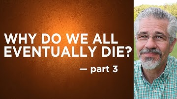 Why Do We All Eventually Die? (Part 3) | Little Lessons with David Servant