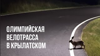 картинка: Крылатская велотрасса. Малое кольцо с подсветкой и зайцем 2025 (Ambience POV)