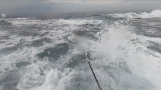 荒波に飛び込む。そこは別世界だった。