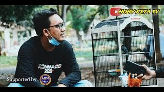 Kita bongkar rahasia rawatan tledekan 