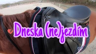 12#DNESKA (ne)JEZDÍM (utekl mi)... ”DIAMONDA” + ”SANTANA” (Příprava na ježdění + krocení)