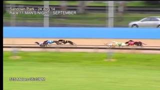 SAN SUN 24 AUG 14 R11