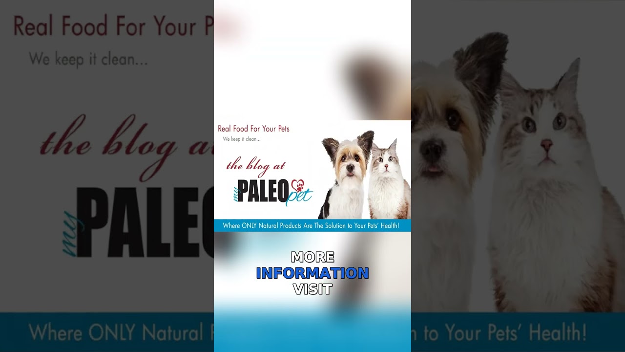 Transform Your Pet's Health with Fresh, Raw Food!