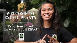 Welcome to Exotic Plants | Sacramento Indoor Plant Specialists