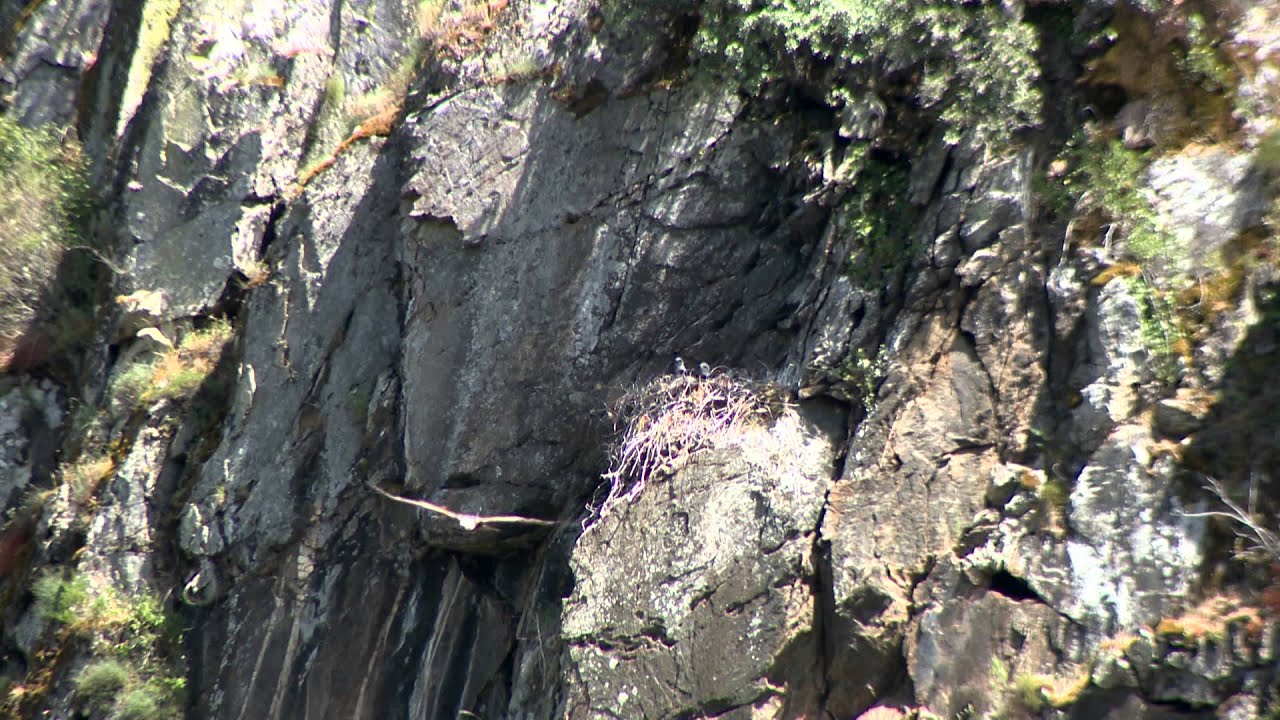 Vídeo promocional - Bragança 2014