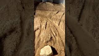 New stream table Timelapse ;) testing out the iPhone 16 camera! #riverflood #science #erosion