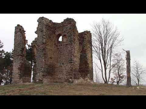 Video: Zvitek Z Rakovico In Zelišči