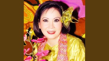 Mộng Tuyền | Mưa Rừng (Tân Cổ)