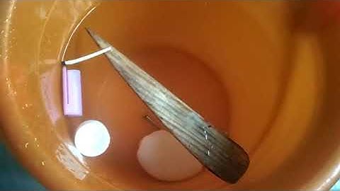 Class 5 EVS Experiments With Water ( Part 1) What sinks and what floats?