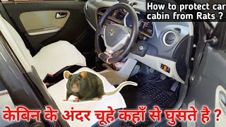 केबिन में चूहे कैसे पहुचते है ? How to protect your car cabin from Rats ?🐀🐀🐀🐀