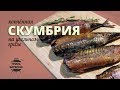 Копченая скумбрия на гриле (рецепт для угольного гриля)