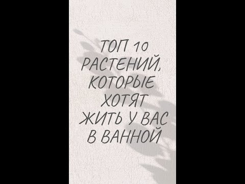 ТОП 10 РАСТЕНИЙ, КОТОРЫЕ ХОТЯТ ЖИТЬ У ВАС В ВАННОЙ!