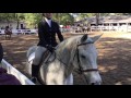 Emma wahlstrom and morgan gardiner in open flat at stony brooks horse show 2016