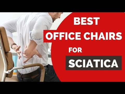 Best Office Chairs for Sciatica (Some are Just Better) 